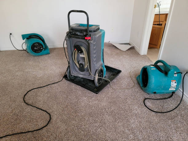 Best Residential water damage restoration  in Woodville, CA