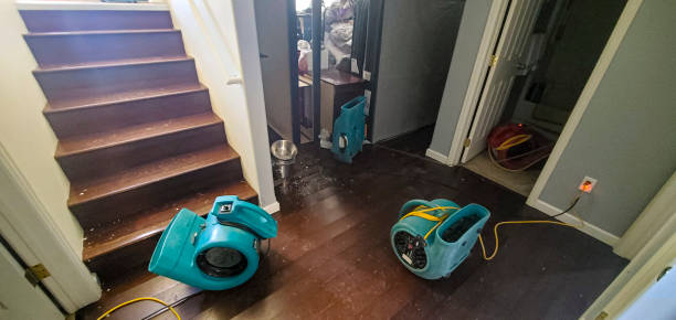 Best Flood restoration services  in Woodville, CA