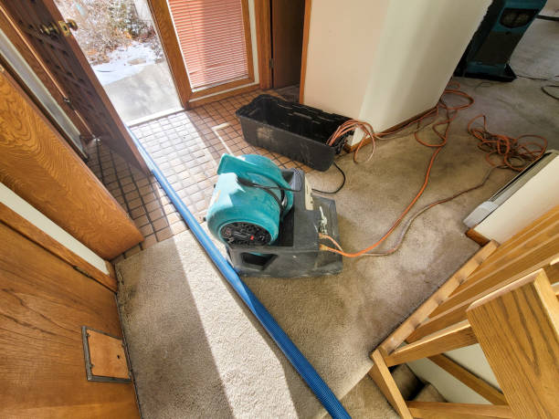 Best Carpet water damage restoration  in Woodville, CA