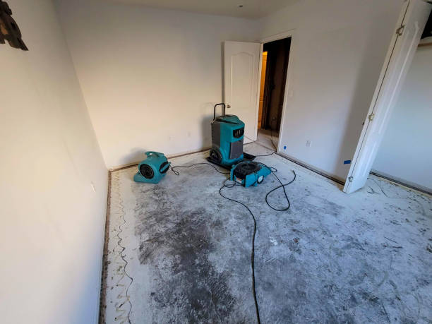 Best Water damage contractors near me  in Woodville, CA