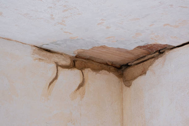 Best Sewage cleanup and water damage restoration  in Woodville, CA