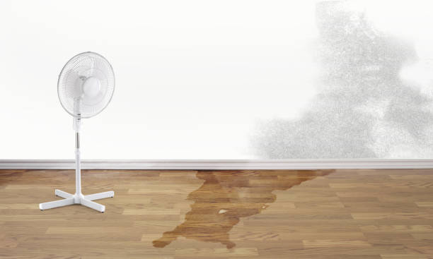 Best Water damage restoration near me  in Woodville, CA