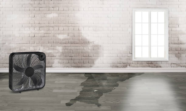 Best Fire Damage Restoration  in Woodville, CA