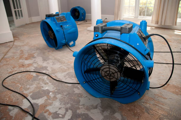 Best Carpet water damage restoration  in Woodville, CA