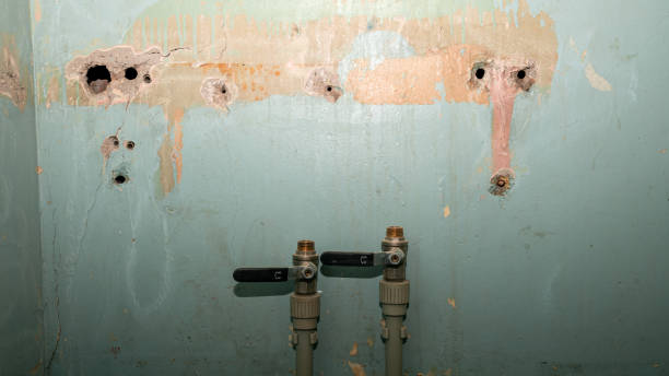 Best 24/7 water damage repair  in Woodville, CA