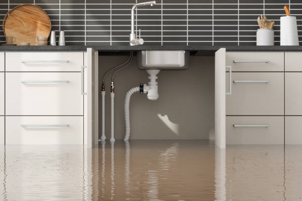 Best Mold removal after water damage  in Woodville, CA