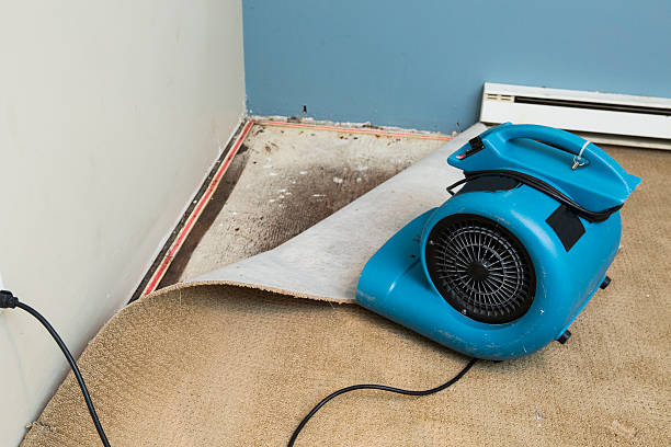  Woodville, CA Water damage restoration Pros